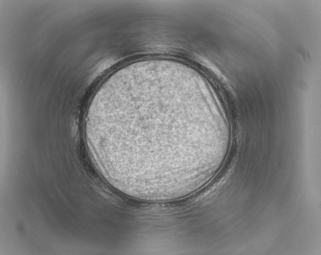 X0000114531259200911161329