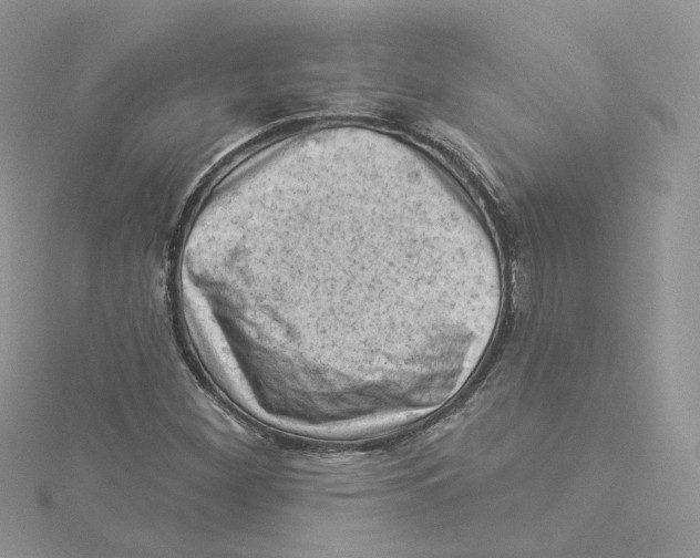 X0000114531260200911161329