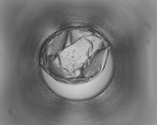 X0000114531261200911161329