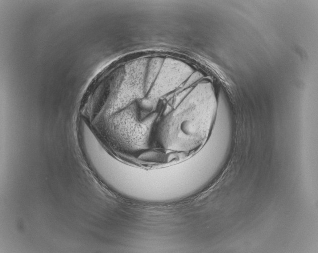 X0000114531264200911161329