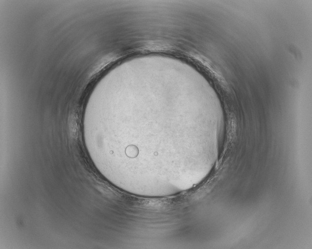 X0000114531266200911161329