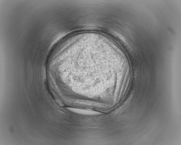 X0000114531267200911161329