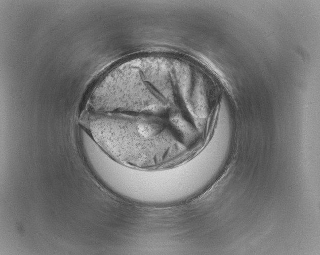 X0000114531269200911161329