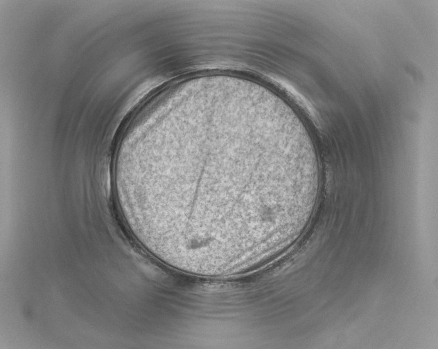 X0000114531274200911161329