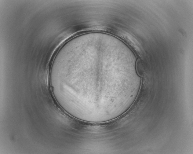 X0000114531276200911161329