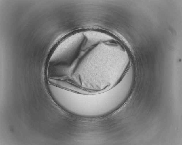 X0000114531277200911161329