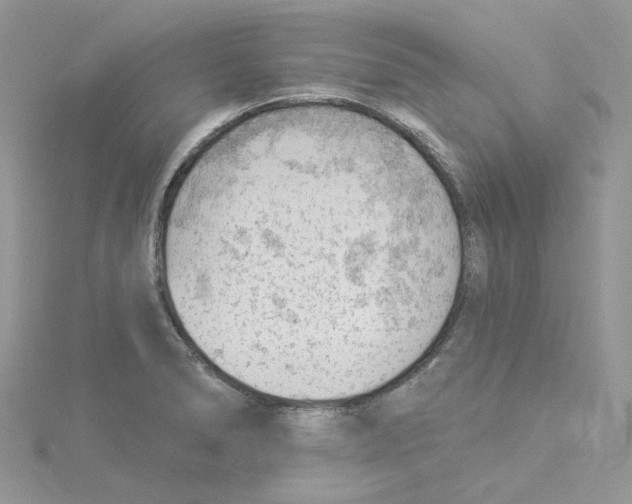 X0000114531278200911161329