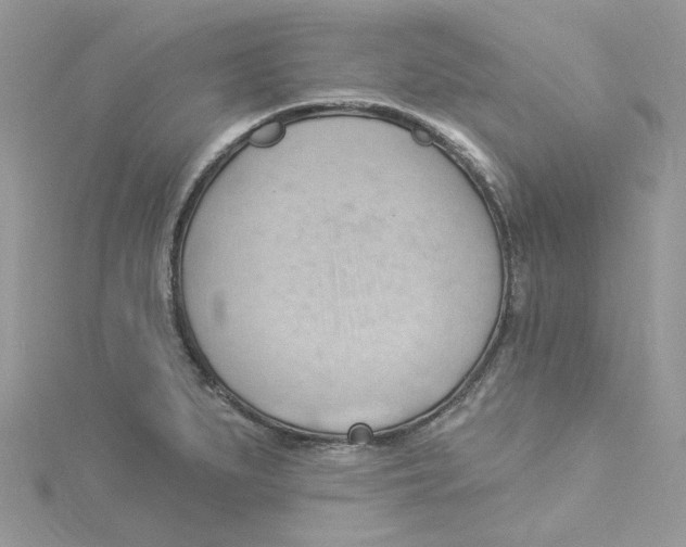 X0000114531279200911161329