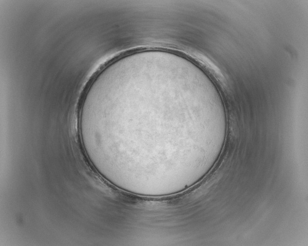 X0000114531280200911161329