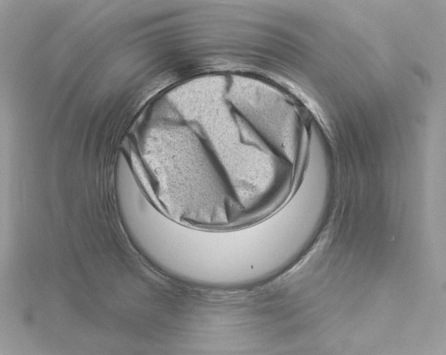 X0000114531281200911161329