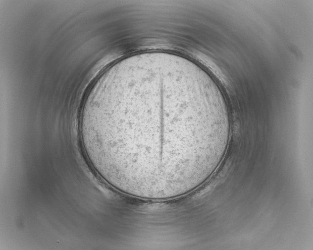 X0000114531282200911161329