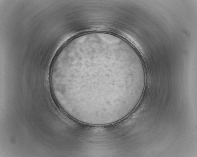 X0000114531283200911161329