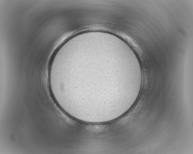 X0000114531286200911161329