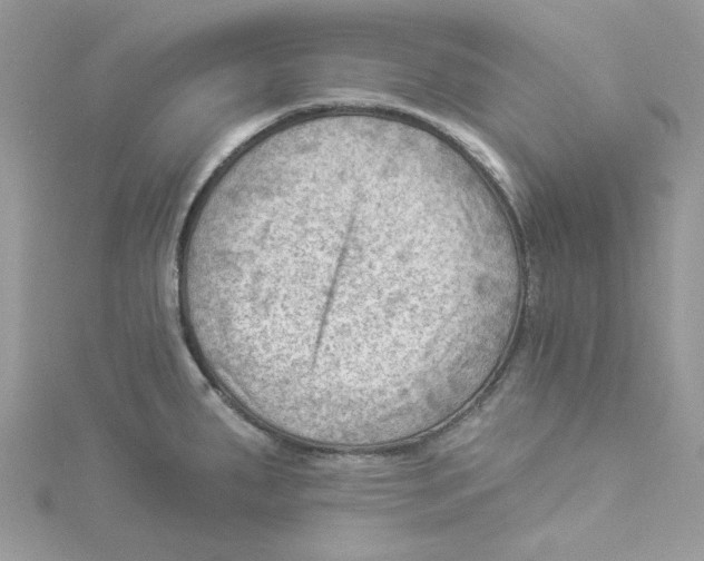 X0000114531287200911161329