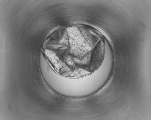 X0000114531289200911161329