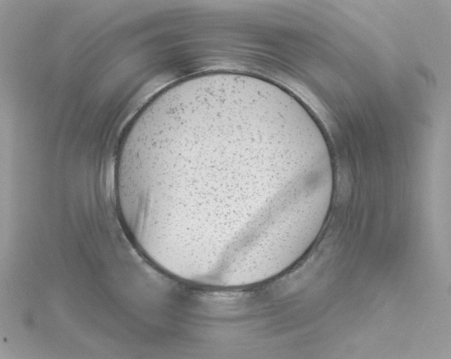 X0000114531290200911161329