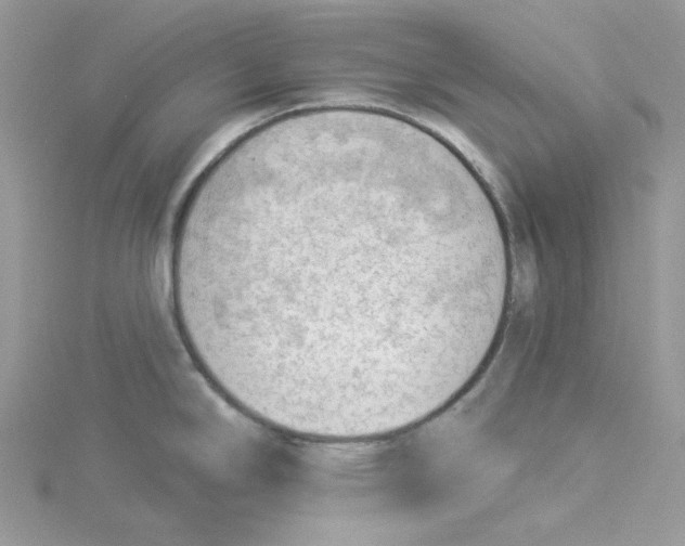 X0000114531294200911161329