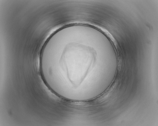 X0000114531295200911161329