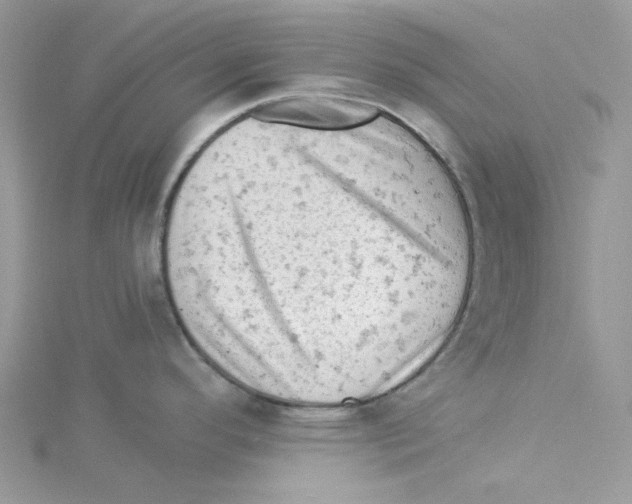 X0000114531296200911161329