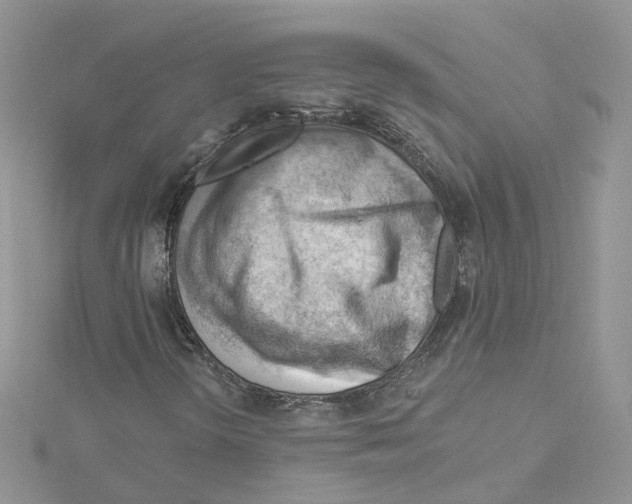 X0000114531298200911161328