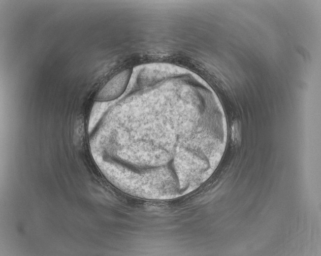 X0000114531299200911161328