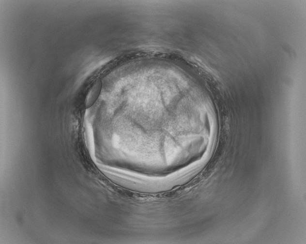 X0000114531302200911161328