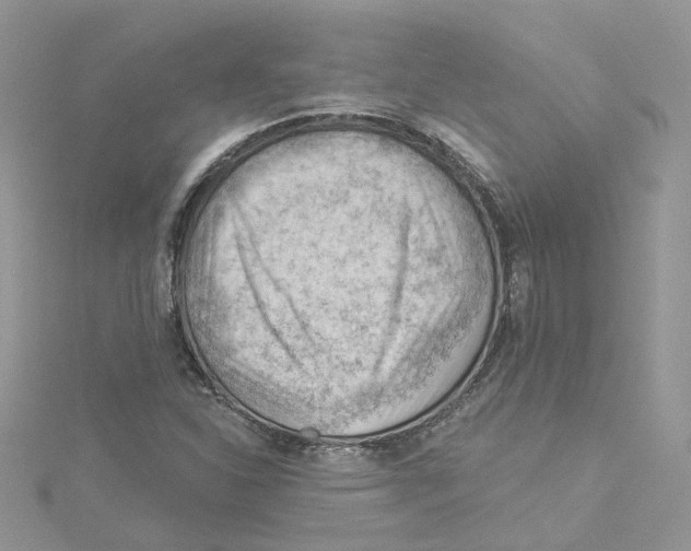 X0000114531310200911161328