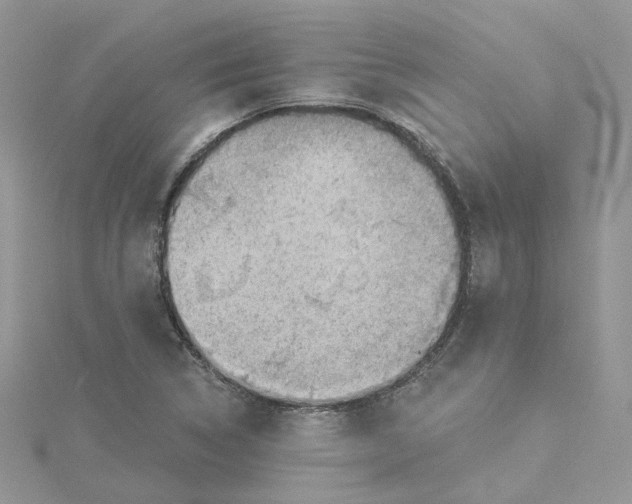 X0000114531314200911161328