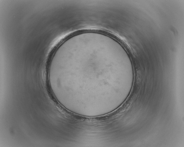 X0000114531319200911161329