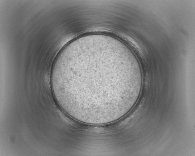 X0000114531321200911161329