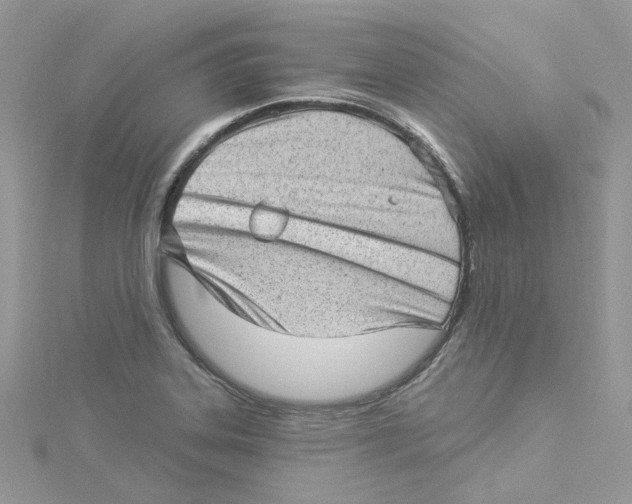 X0000114531323200911161329