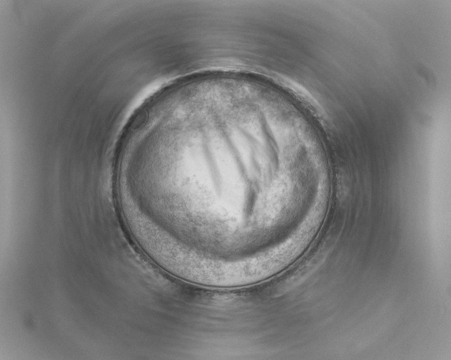 X0000114531326200911161329