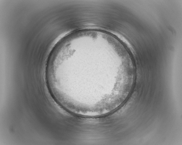 X0000114531333200911161329