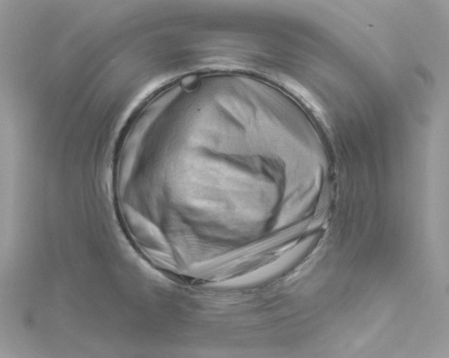 X0000114531334200911161329