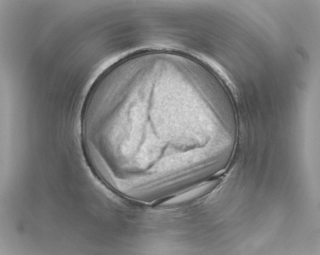 X0000114531335200911161329