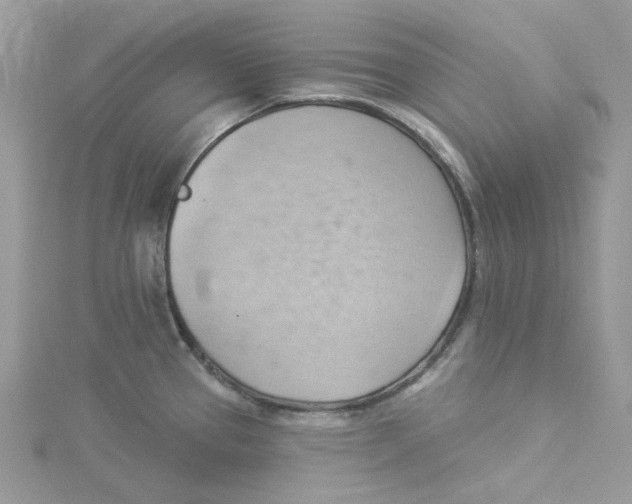 X0000114531337200911161329