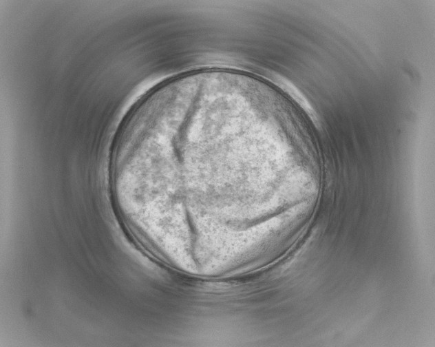 X0000114531339200911161329