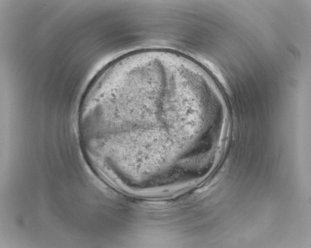 X0000114531342200911161329