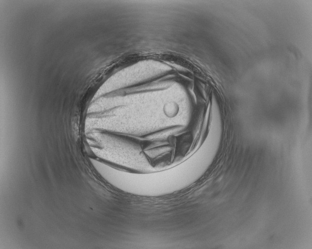 X0000114531348200911161328