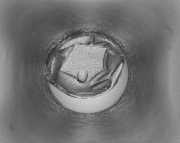 X0000114531349200911161328