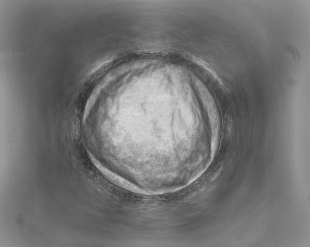 X0000114531350200911161328