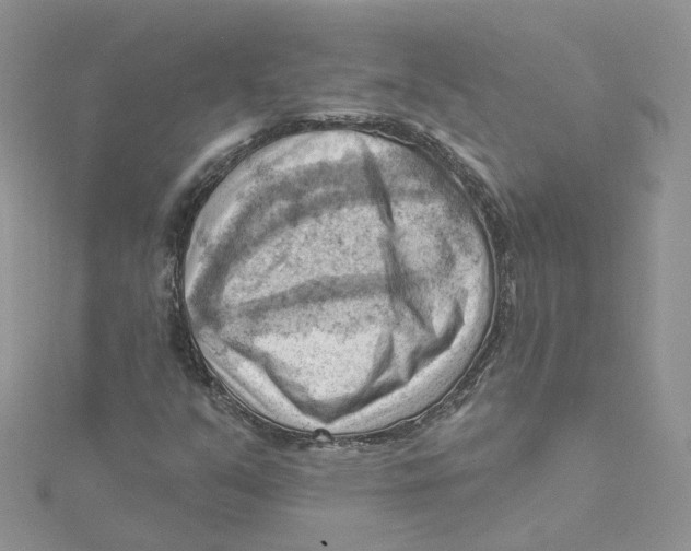 X0000114531351200911161328