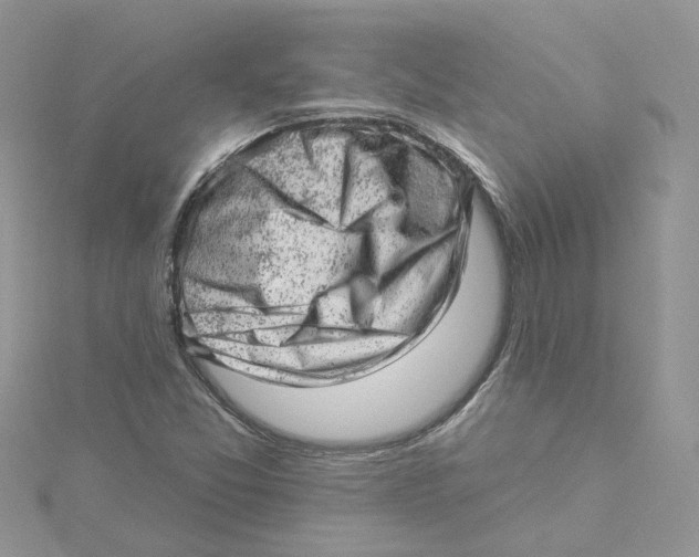 X0000114531357200911161328