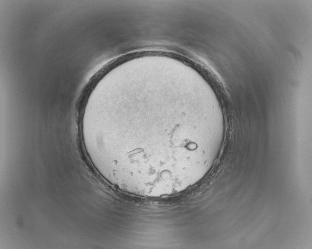 X0000114531360200911161328