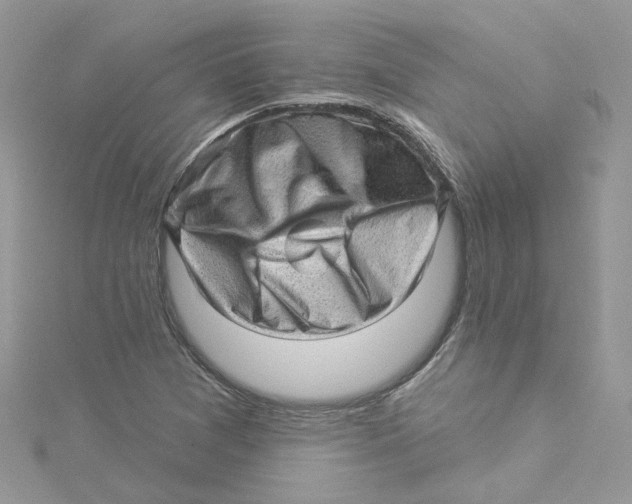 X0000114531361200911161328