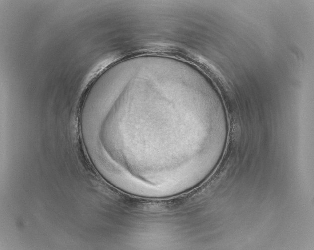 X0000114531362200911161328