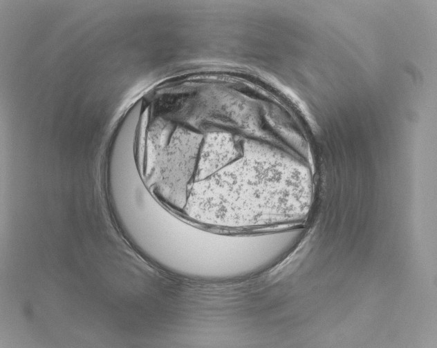 X0000114531365200911161328