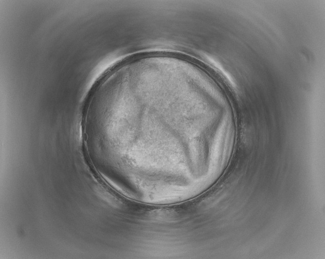 X0000114531368200911161328