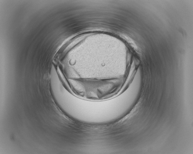 X0000114531369200911161328