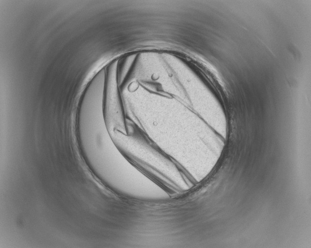 X0000114531373200911161328